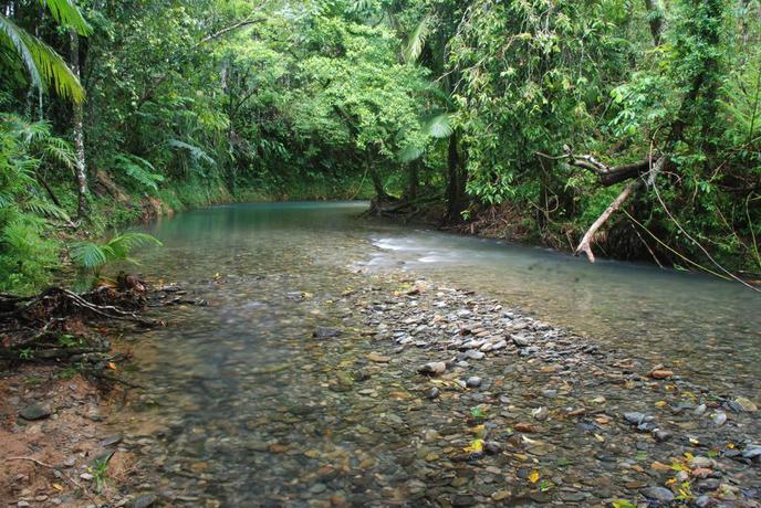 Imagen general del Hotel Heritage Lodge In the Daintree. Foto 5