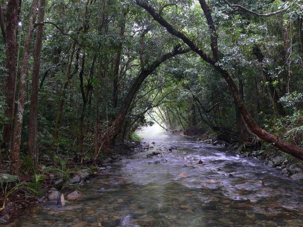 Imagen general del Hotel Heritage Lodge In the Daintree. Foto 7