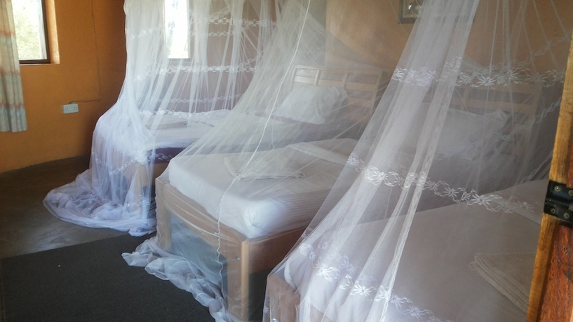 Imagen de la habitación del Hotel Heritage Safari Lodge. Foto 10