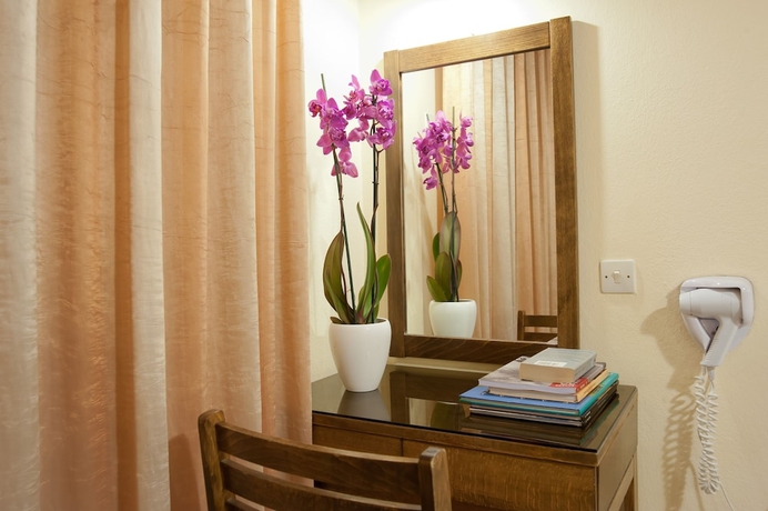 Imagen de la habitación del Hotel Hermes Delphi. Foto 6