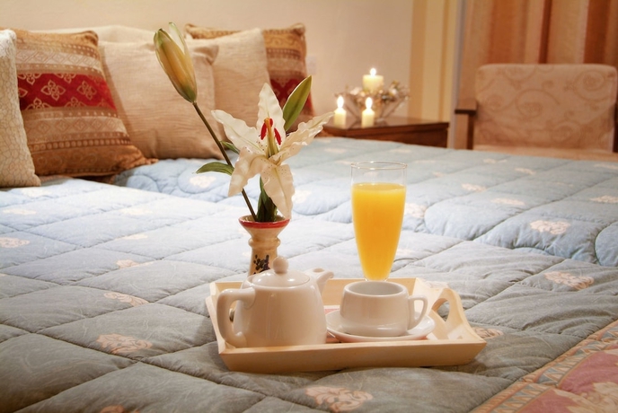 Imagen de la habitación del Hotel Hermes Delphi. Foto 15