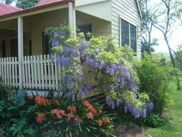 Imagen de los exteriores del Hotel Hermitage Cottage. Foto 35