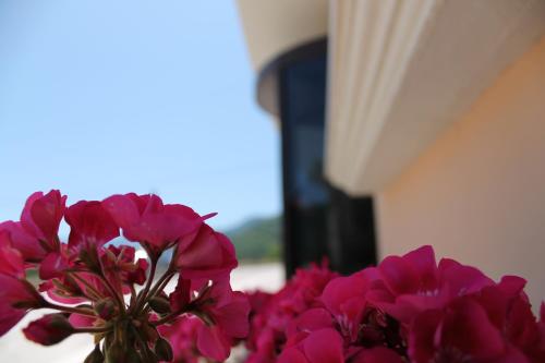 Imagen general del Hotel Hermitage, Polla. Foto 3