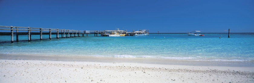 Imagen de los exteriores del Hotel Heron Island Resort. Foto 9