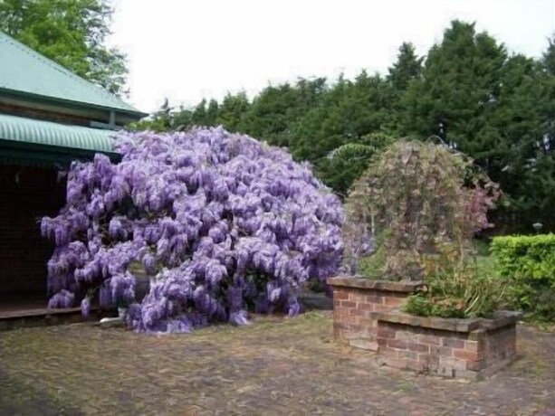 Imagen general del Hotel Heronswood House B and B. Foto 2