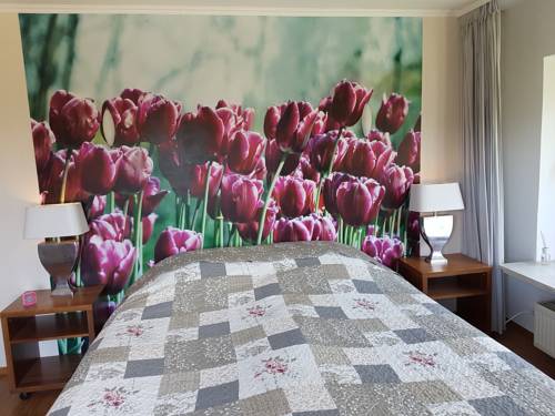 Imagen de la habitación del Hotel Herrloh. Foto 4