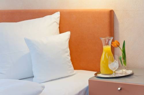 Imagen general del Hotel Herzogspark. Foto 4