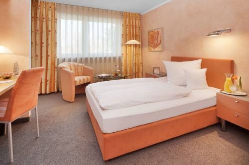 Imagen general del Hotel Herzogspark. Foto 6