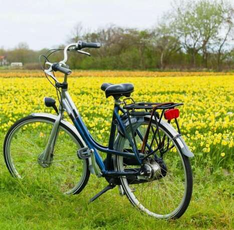 Imagen general del Hotel Het Wapen van Harmelen. Foto 7