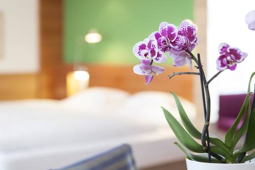 Imagen de la habitación del Hotel Heubad. Foto 7