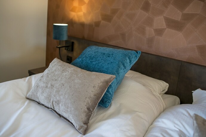 Imagen general del Hotel Heuvelrijk Berg en Dal. Foto 12