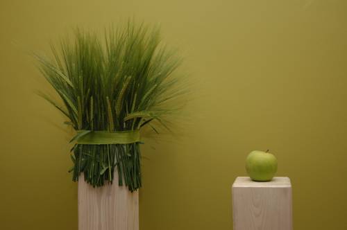 Imagen de la habitación del Hotel Hezelhof. Foto 12