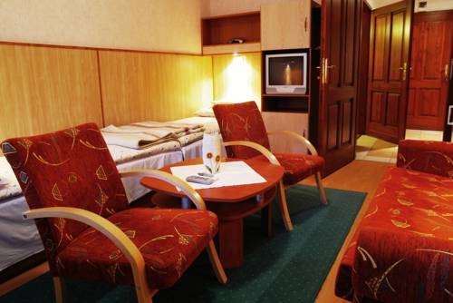 Imagen general del Hotel Hőforr&aacute;s Hotel. Foto 3