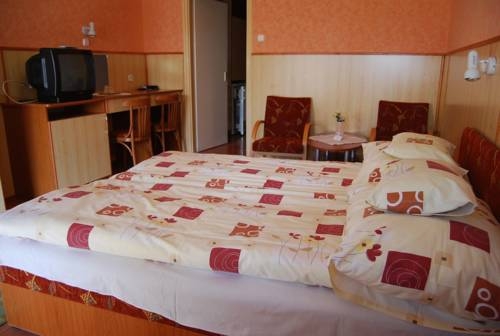Imagen general del Hotel Hőforr&aacute;s Hotel. Foto 8