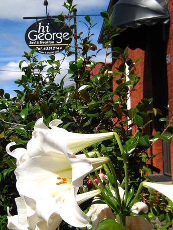 Imagen general del Hotel Hi George Bed and Breakfast. Foto 2