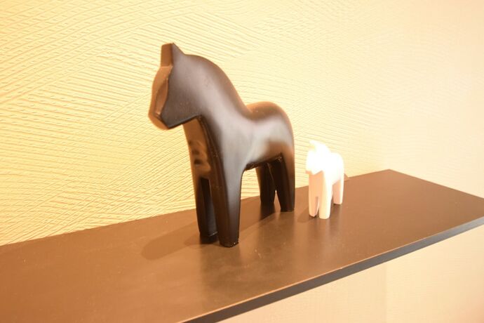 Imagen general del Hotel Hibiki Nipponbashi. Foto 5