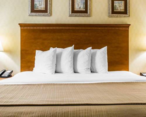 Imagen de la habitación del Hotel Hibiscus Inn and Suites. Foto 2