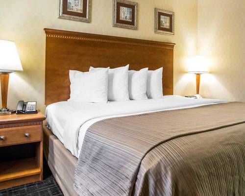 Imagen de la habitación del Hotel Hibiscus Inn and Suites. Foto 3