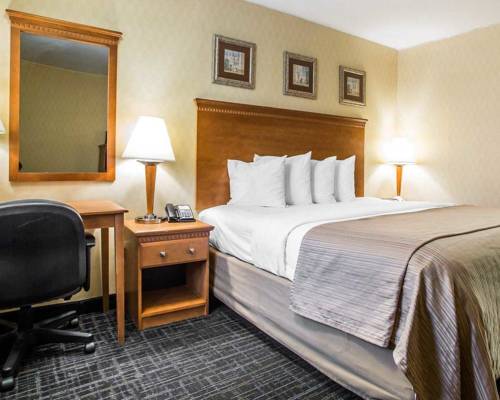 Imagen de la habitación del Hotel Hibiscus Inn and Suites. Foto 4