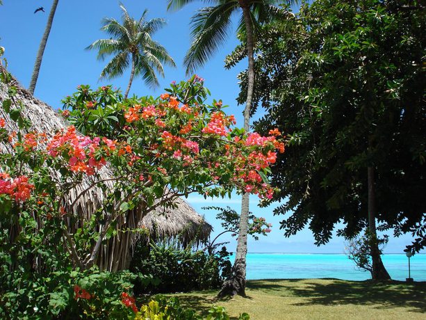 Imagen general del Hotel Hibiscus, Moorea-Maiao. Foto 1