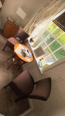 Imagen de la habitación del Hotel Hickman Hill. Foto 3