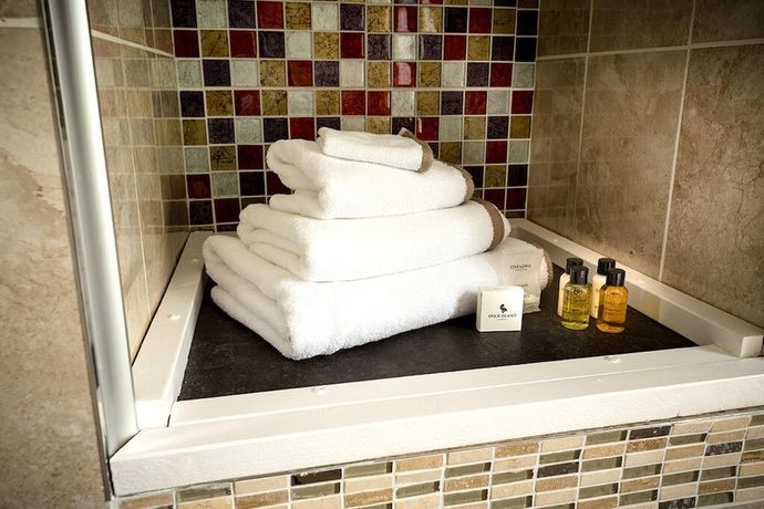 Imagen de la habitación del Hotel Hickman Hill. Foto 5