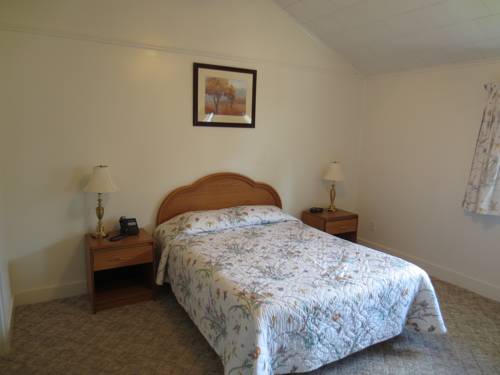 Imagen de la habitación del Hotel Hickory Grove Motor Inn. Foto 5