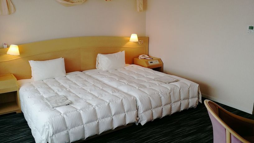 Imagen de la habitación del Hotel Hida Plaza. Foto 4