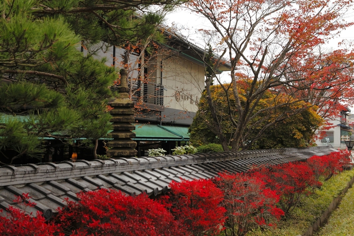 Imagen de los exteriores del Hotel Hidatei Hanaougi. Foto 8