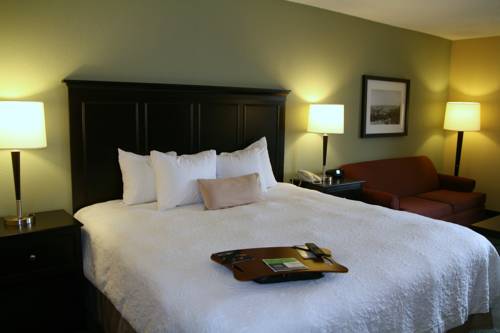 Imagen de la habitación del Hotel Hidden Falls Inn. Foto 3