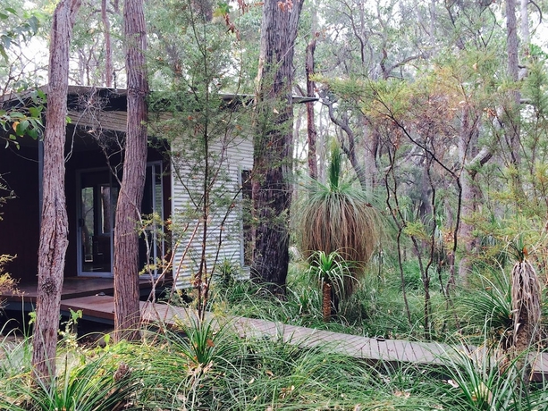 Imagen de la habitación del Hotel Hidden Valley Forest Retreat. Foto 2