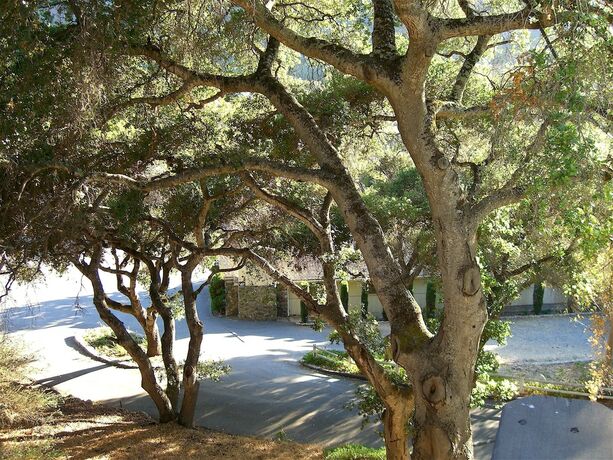 Imagen general del Hotel Hidden Valley Inn. Foto 14