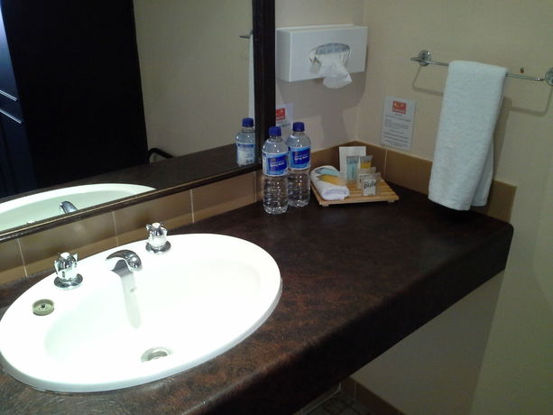 Imagen de la habitación del Hotel Hideaway Motor Inn. Foto 7