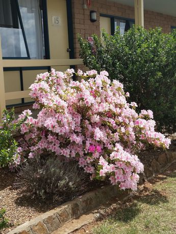 Imagen de la piscina del Hotel Hideaway Motor Inn. Foto 16