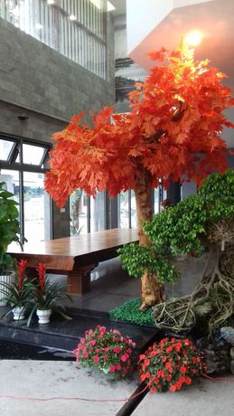 Imagen de los interiores del Hotel Hiep Yen. Foto 15