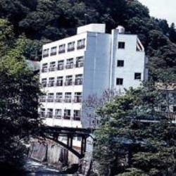 Imagen del Hotel Higashiyama Daichi Hotel. Foto 3