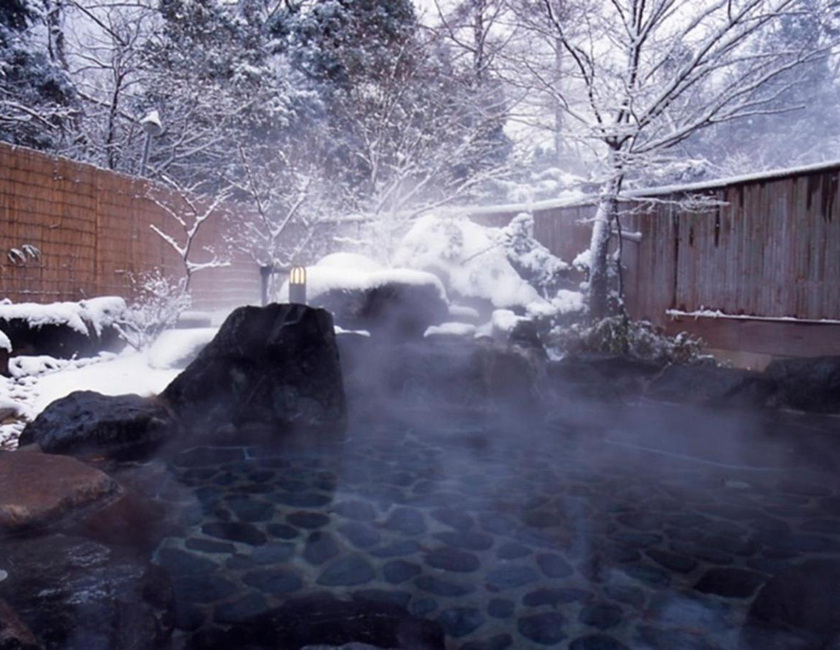 Imagen general del Hotel Higashiyama Park Shinfugetsu. Foto 5