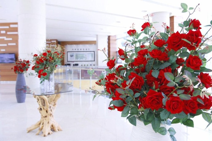 Imagen general del Hotel High Castle Resort. Foto 4