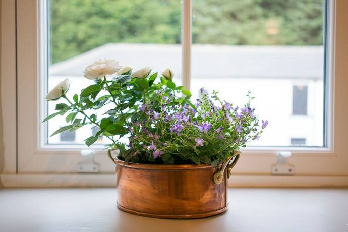 Imagen general del Hotel High Force. Foto 9