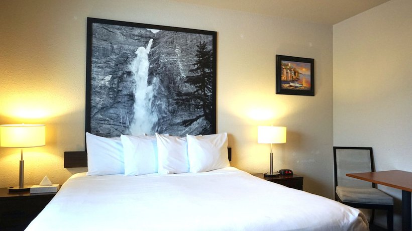 Imagen de la habitación del Hotel High Point Inn & Suites Peace River. Foto 16
