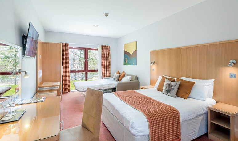 Imagen de la habitación del Hotel High Range. Foto 8