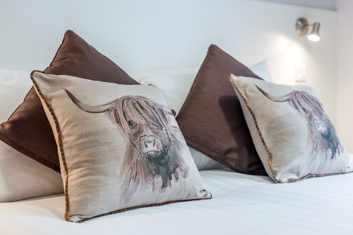 Imagen de la habitación del Hotel High Range. Foto 14