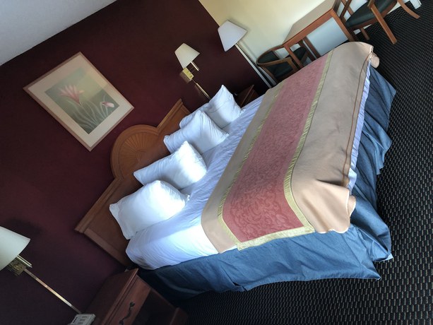 Imagen de la habitación del Hotel High Springs Inn. Foto 8