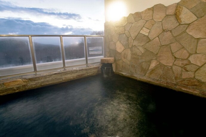 Imagen de la piscina del Hotel Highland Furano. Foto 26