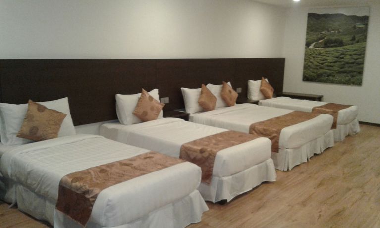Imagen de la habitación del Hotel Highlanders. Foto 11