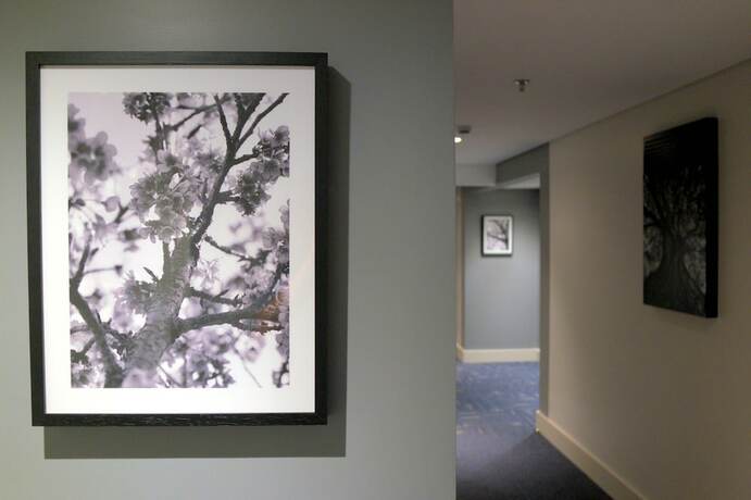 Imagen general del Hotel Higi S&atilde;o Paulo. Foto 13