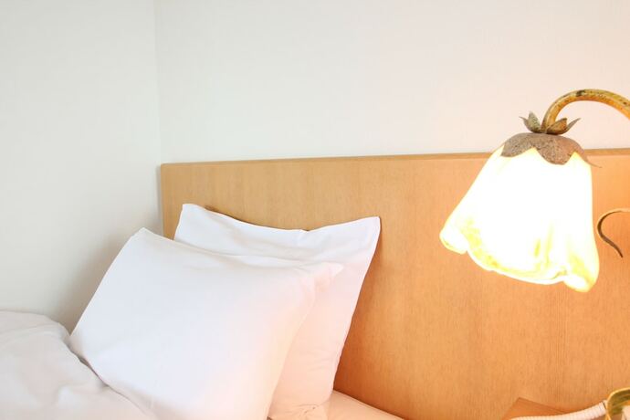 Imagen general del Hotel Hikone Biwako. Foto 7