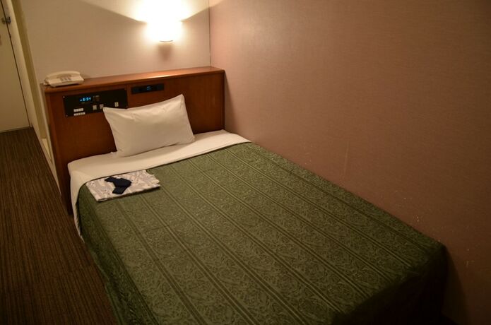 Imagen de la habitación del Hotel Hikone Biwako. Foto 19