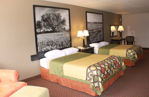 Imagen de la habitación del Hotel Hill Country Inn and Suites - New Braunfels / Gruene. Foto 2