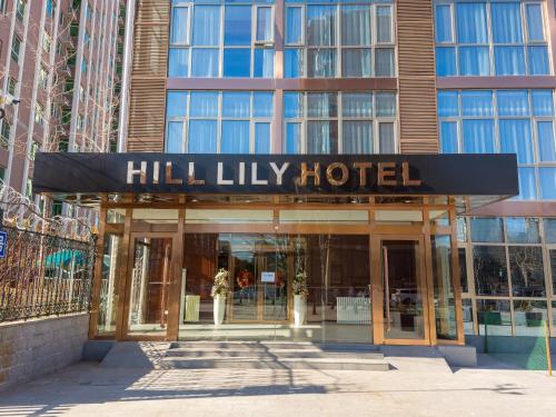 Imagen general del Hotel Hill Lily. Foto 4